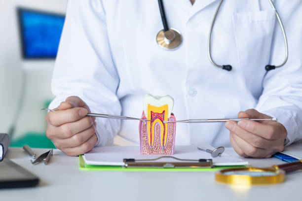 Best Emergency Tooth Extraction in Lexington, VA